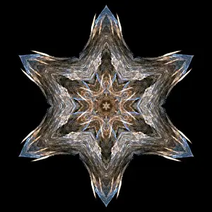 Computer Generated Graphics Drucke: Fractal object