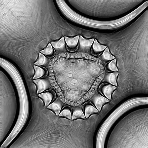 Abstract Geometry Drucke: Fractal object