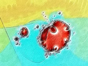 Fractal Geometry Drucke: Fractal object