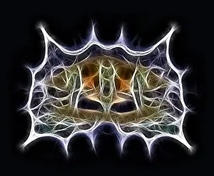 Computer Graphics Illustration Drucke: Fractal object