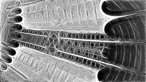 Computer Generated Graphics Drucke: Fractal object