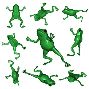 Bilder vom 17. März 2011: Käfer aus verschiedenen Perspektiven, 3D-Illustration
