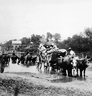 Civil War Images Drucke: Fugitives