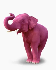 Drucke von Ein rosa Elefant steht auf einem weißen Hintergrund Kunstwerke Des Surrealismus Drucke: Roter Elefant