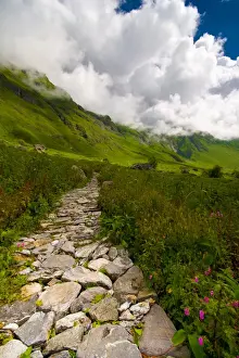 Himalayas Landscape Photography Drucke: Garden in the clouds
