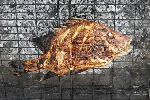 Grilled Fish Drucke: Grilled fish on a grid