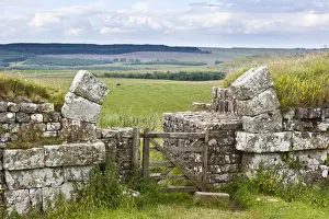 Roman Ruins UK Drucke: Hadrians Wall