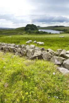Hadrians Wall Drucke: Hadrians Wall