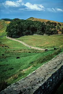 Roman Britain History Drucke: Hadrians Wall