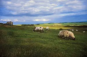 Hadrians Wall Drucke: Hadrians Wall