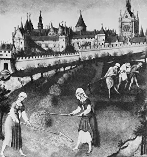 Agricultural Scene In Europe Drucke: Haymaking
