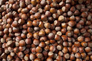 Brown Food Photography Drucke: Hazel nuts, background