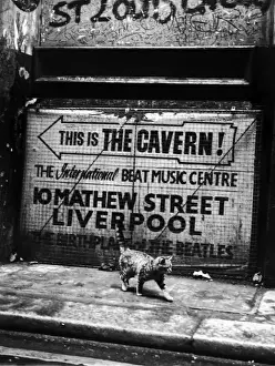 Drucke von Ein Katze geht vorbei einem Schild, das den Weg zur Halle zeigt, Geburtstagsort der Beatles in Liverpool. (Foto von Evening Standard / Getty Images) Verwandte Bilder Drucke: Hep Cat