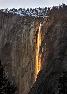 Reithasenfall
