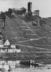 Beilstein