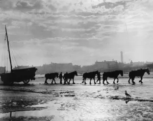 Blackpool Beach Drucke: Blackpool Beach