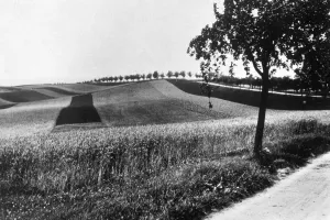 Archival Black And White Images Drucke: Crop Fields