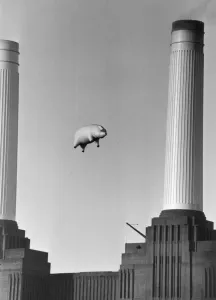 Drucke von Ein 40-Fuß langer weichflüffiger Schwein suspendiert zwischen zwei der Schornsteine des Battersea Power Stations, London, während einer Fotoshooting für die Cover von Pink Floyds Album Animals am 6 London Drucke: Pinks Flößes weiches Schwein Batterseer Kraftwerkstation