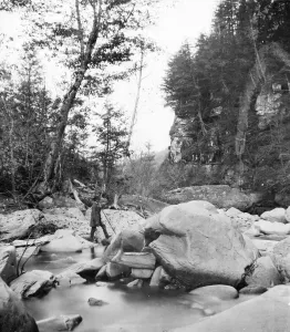 American Wilderness Art Drucke: Kaaterskill