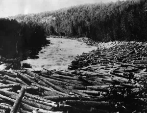 Nature Photography Collection Drucke: Log Jam In River