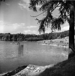 Lake District Views Drucke: How Tarn