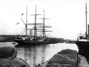 Terra Nova