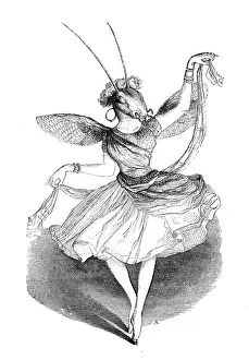 Fantasy Animal Illustrations Drucke: Humanized animals illustrations: Ant dancer