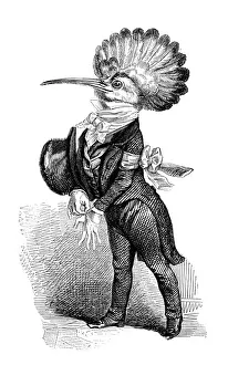 Anthropomorphic Bird Designs Drucke: Humanized animals illustrations: Bird
