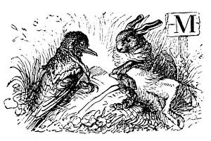 Fine Art Storehouse Illustrations Drucke: Humanized animals illustrations: bird and hare