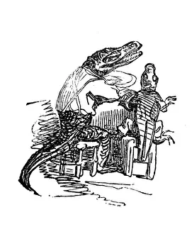 Whimsical Animal Drawings Drucke: Humanized animals illustrations: Crocodile