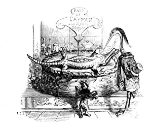 Grandville Influenced Artwork Drucke: Humanized animals illustrations: Dead cayman