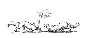 Animal Human Hybrid Art Drucke: Humanized animals illustrations: Decoration