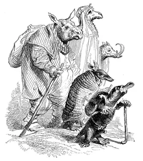 Fantasy Creature Illustrations Drucke: Humanized animals illustrations: Group