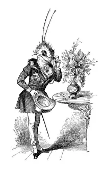 Bilder Datiert 3. Januar 2017: Anthropomatisierte Tiere Illustrationen : Insekt