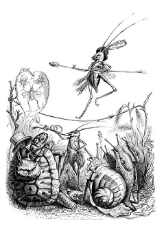 Grandville Illustrations Drucke: Humanized animals illustrations: Insect circus