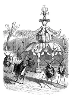 Grandville Influenced Artists Drucke: Humanized animals illustrations: Insect guards