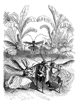 Grandville Influenced Artwork Drucke: Humanized animals illustrations: Insects