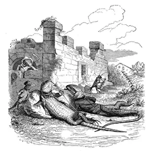 Vintage Inspired Illustrations Drucke: Humanized animals illustrations: Lizard relaxing