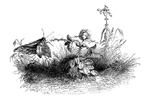 Whimsical Animal Drawings Drucke: Humanized animals illustrations: Moth and flower