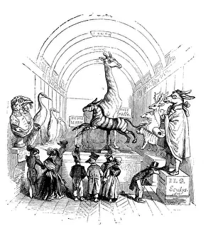 Grandville Style Illustrations Drucke: Humanized animals illustrations: Museum