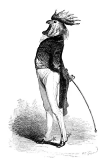 Vintage Inspired Illustrations Drucke: Humanized animals illustrations: Rooster
