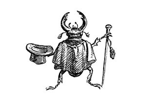 Menschentiere illustrierte Tiere : Eichhörnchenkäfer