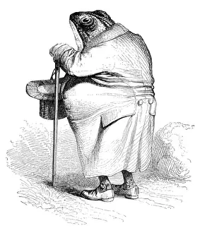 Vintage Inspired Illustrations Drucke: Humanized animals illustrations: Toad