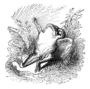 Fantasy Creature Illustrations Drucke: Humanized animals illustrations: Toad waking up