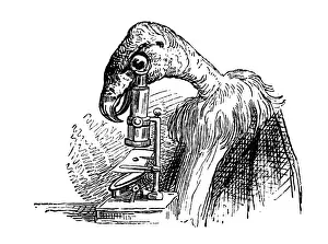 Grandville Style Artwork Drucke: Humanized animals illustrations: Vulture with microscope