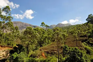 Western Ghats India Drucke: Idukki