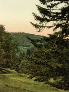 Uninhabited Places In Germany Drucke: The Inselsberg, in Thuringia, Germany