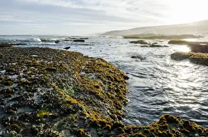 Marine Protected Area Drucke: Intertidal zone impacted upon by wave action