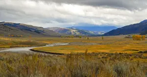 Western USA Photography Drucke: Lamar Valley in fall
