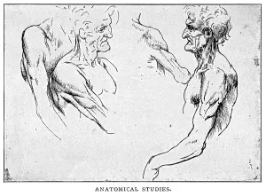 Leonardo Da Vinci Drucke: Anatomische Studien von Leonardo da Vinci